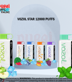 VOZOL STAR 12000 Puffs Disposable Vape In Dubai, UAE